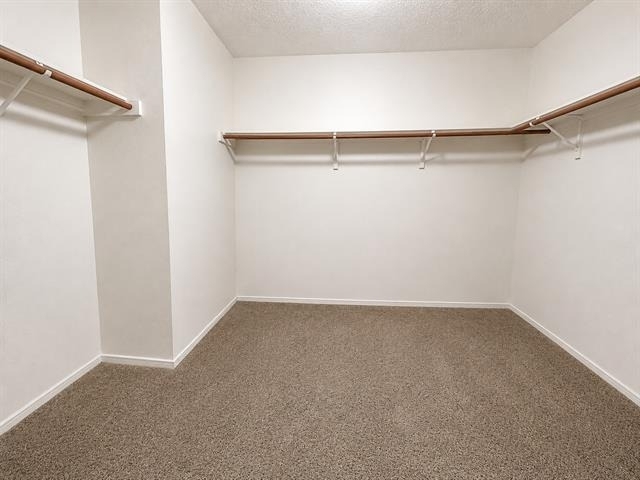 3608 Willow Creek Trail - Photo 17