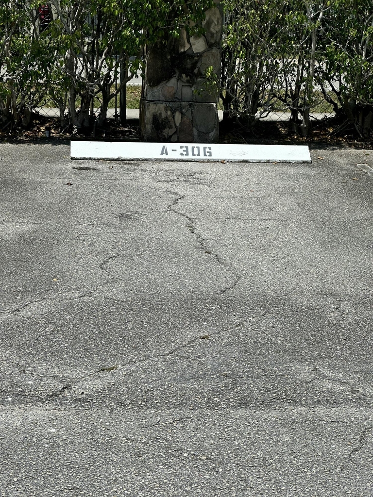 555 Purdy Lane - Photo 1
