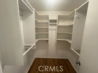24362 Woodwalk - Photo 8
