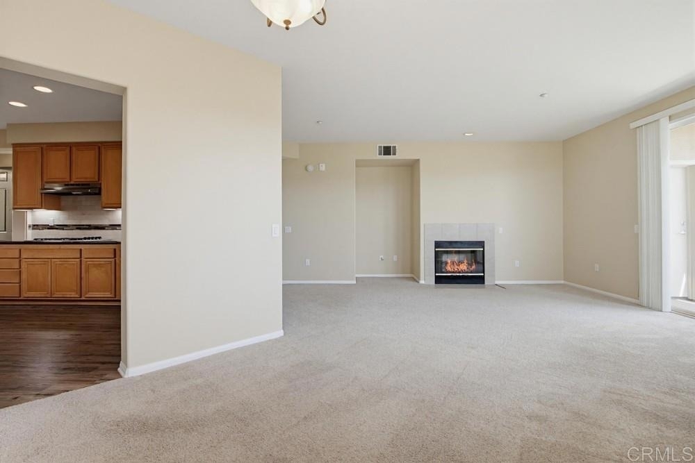823 Kalpati Cir - Photo 13