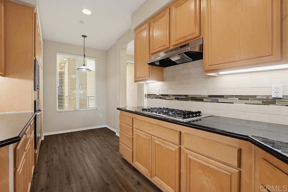 823 Kalpati Cir - Photo 9