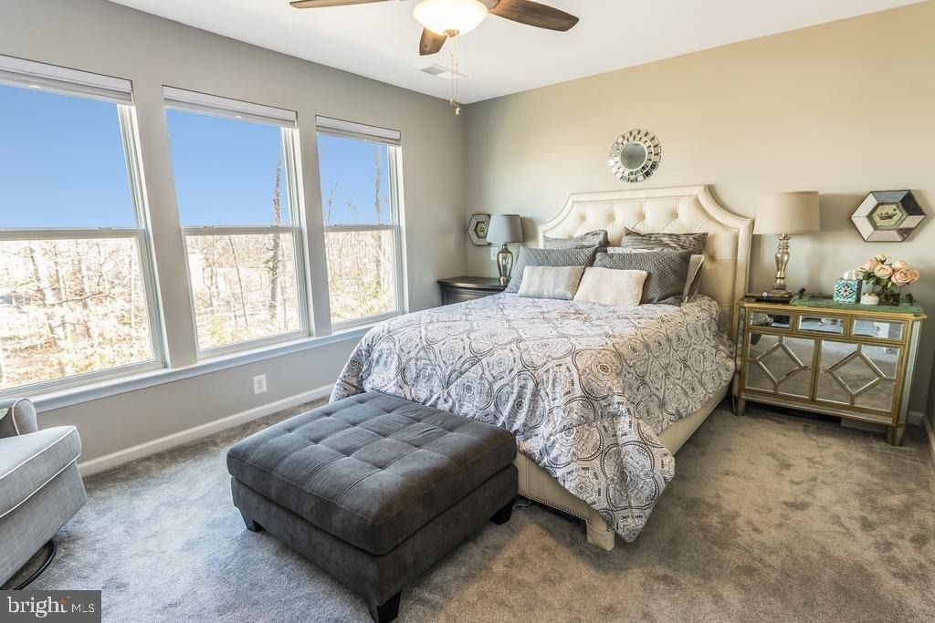 42674 Orefield Terrace - Photo 5
