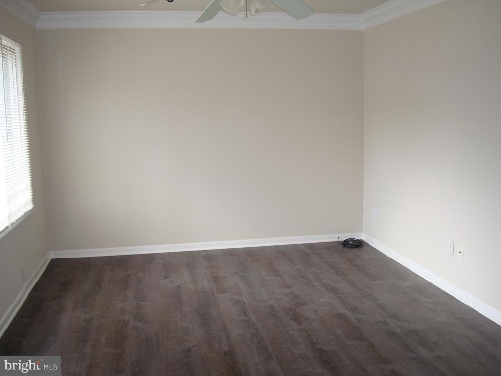 204 Cameron Street - Photo 2