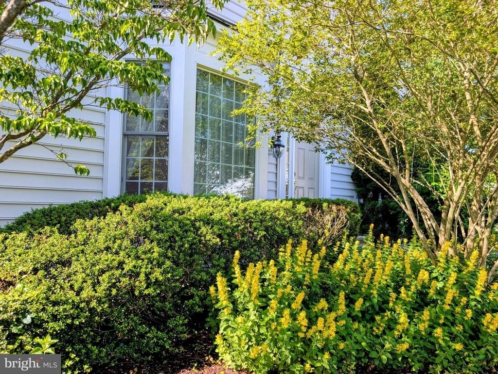 8 Trewbridge Court - Photo 1