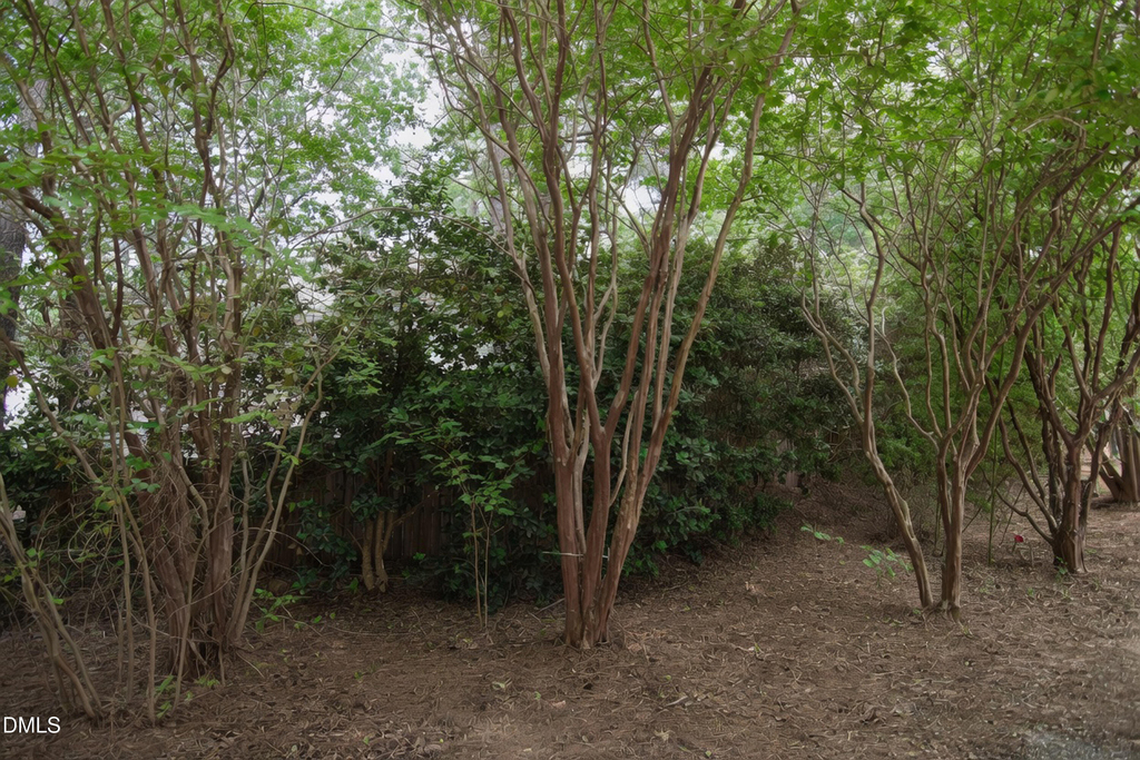 4809 Landover Pine Place - Photo 12