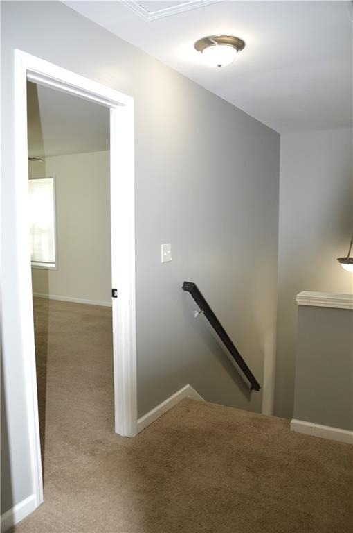 3072 Cedar Glade Lane - Photo 25