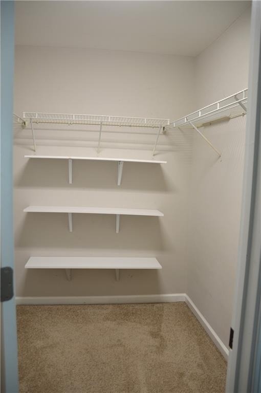 3072 Cedar Glade Lane - Photo 19