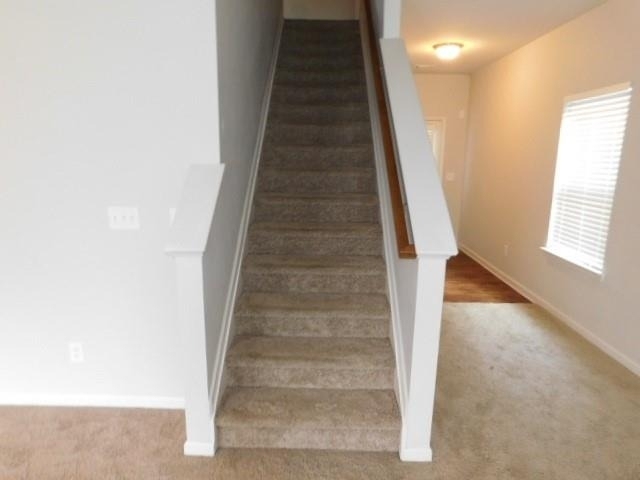 152 Fern Walk - Photo 8