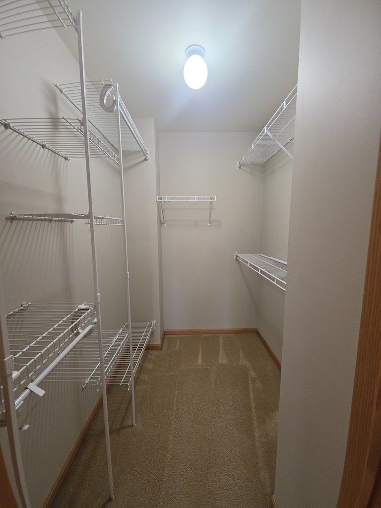 1333 Cape Cod Lane - Photo 9