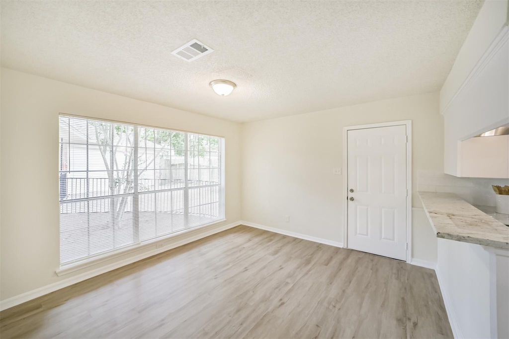 1011 Baltic Lane - Photo 8