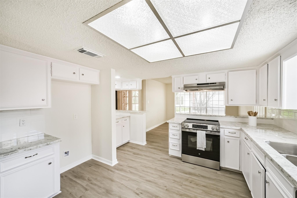 1011 Baltic Lane - Photo 11
