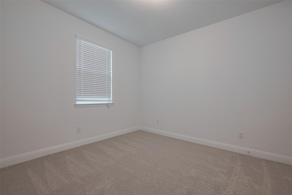 4206 Colony Lane - Photo 4