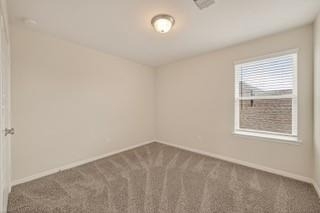 4231 Reese Ravine Lane - Photo 24