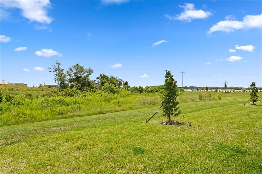 12805 Crystal Jade Way - Photo 3