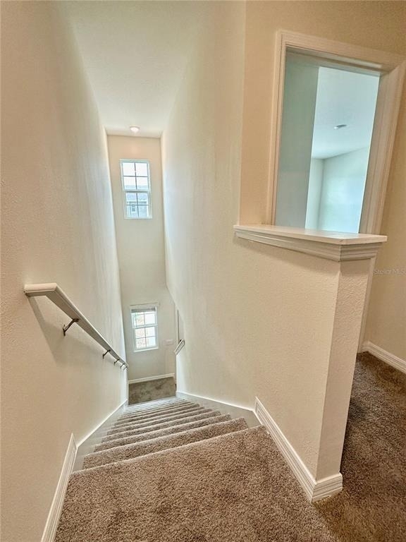2349 Penguin Boulevard - Photo 15
