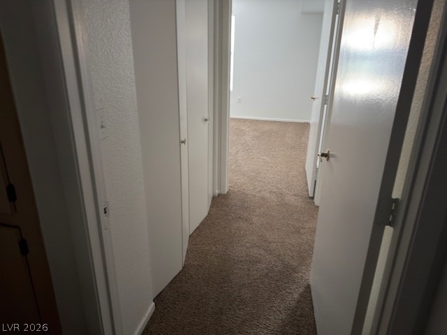 8101 W Flamingo Road - Photo 16