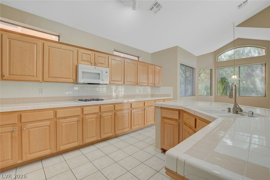 1209 Corona Valley Street - Photo 13