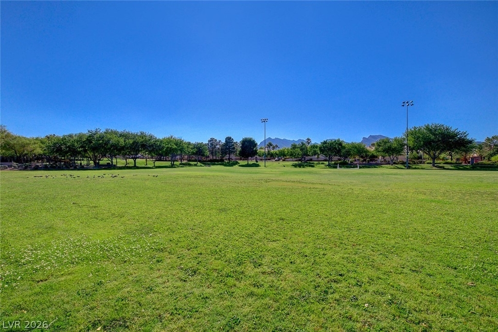 1209 Corona Valley Street - Photo 59