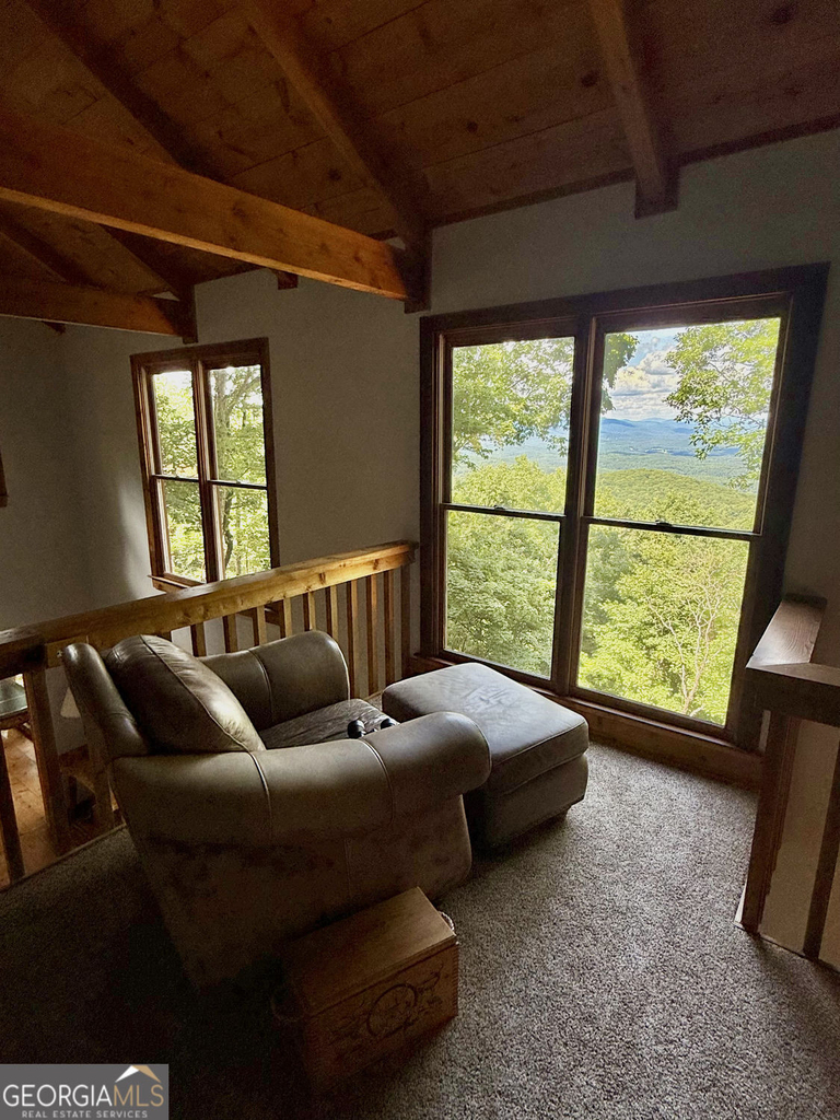 424 S Sanderlin Mtn Drive - Photo 19