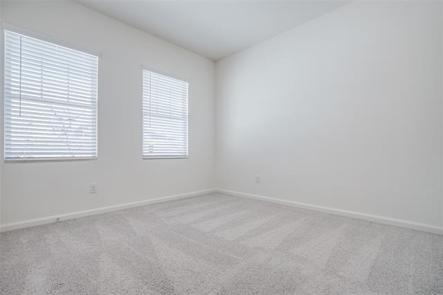2621 Silver Leaf Lane - Photo 17