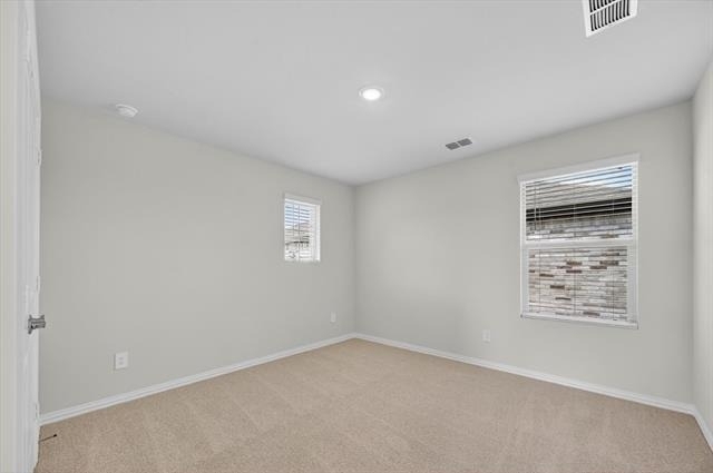 1402 Bridgestone Drive - Photo 14