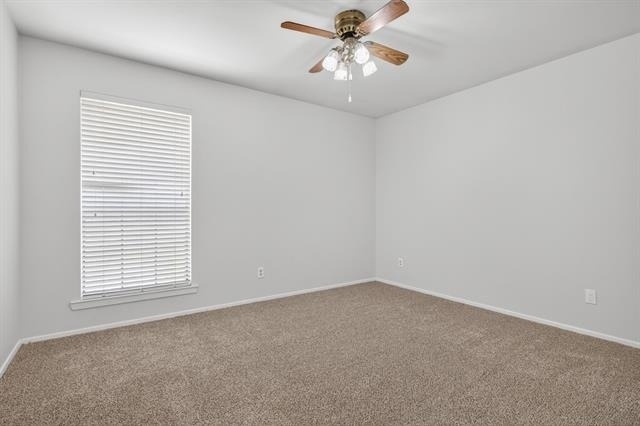 5301 Tartan Circle - Photo 19