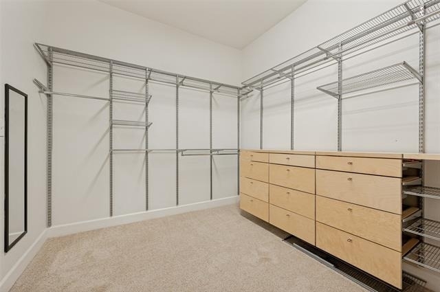 3210 Carlisle Street - Photo 19
