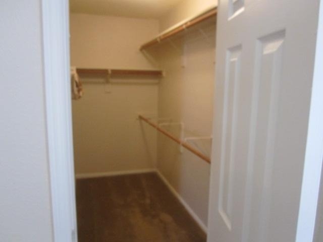 5005 Boxwood Lane - Photo 5