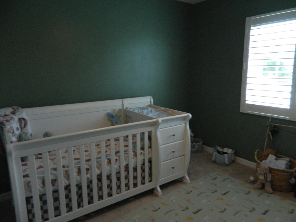 3345 Liberty Square Way - Photo 9
