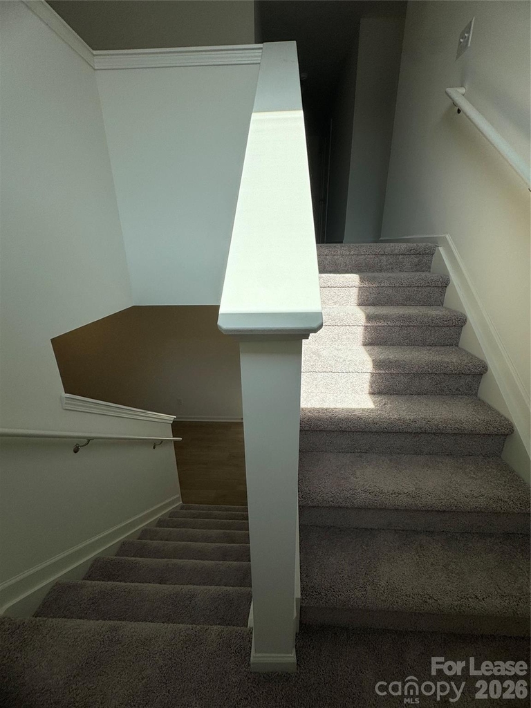 1020 Cunningham Farm Drive - Photo 19