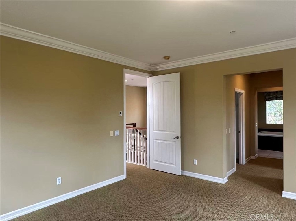15540 Canon - Photo 15