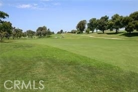 17452 Mayor - Photo 71