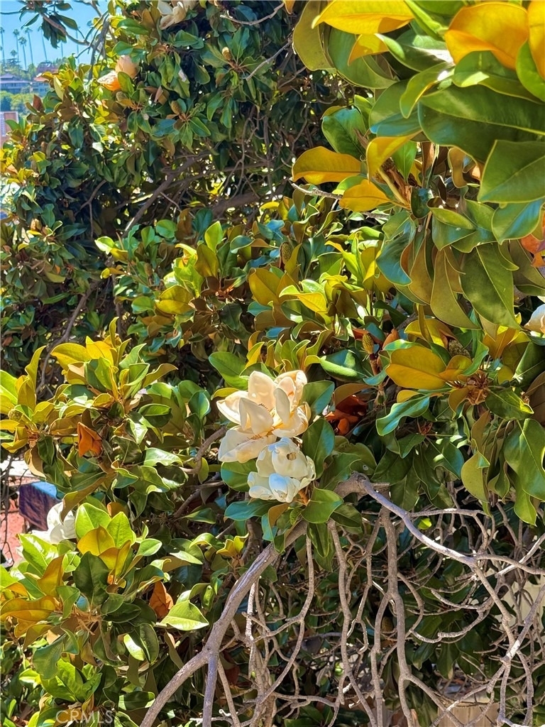 1651 Golden Gate - Photo 7