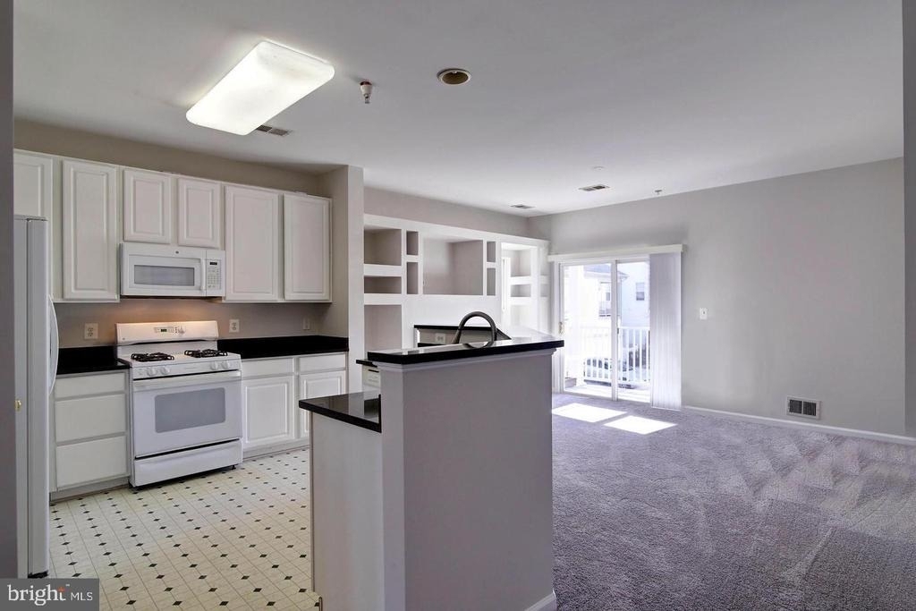 20261 Owings Terrace - Photo 9