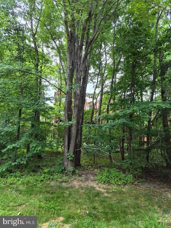 1303 Park Garden Lane - Photo 16