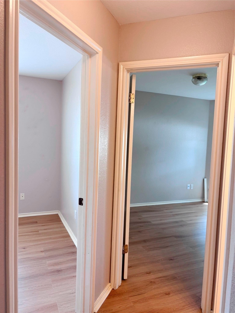 14901 Sand Dollar Ct - Photo 13