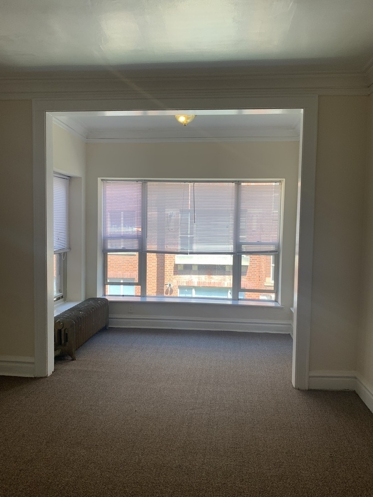 5172 S King Drive - Photo 2