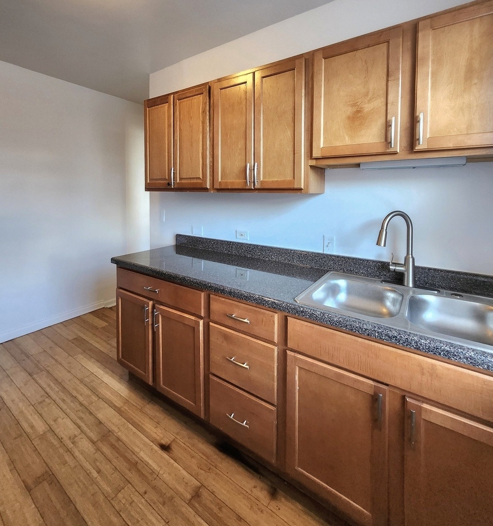3217 W Diversey Avenue - Photo 4