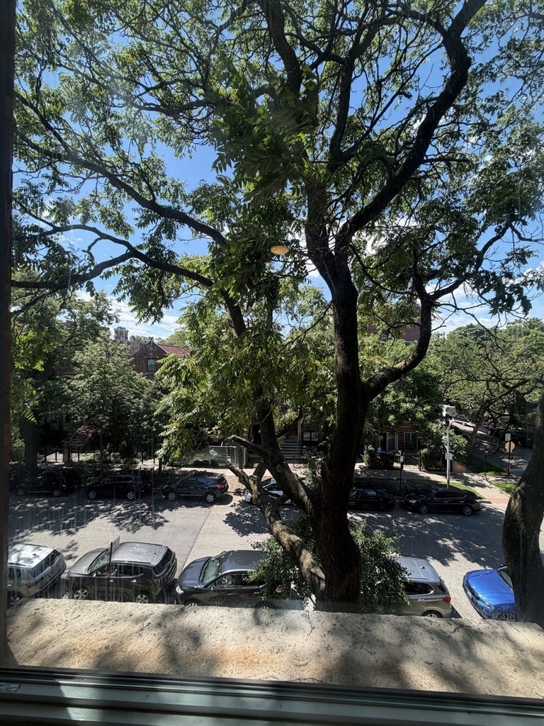 854 W George Street - Photo 12