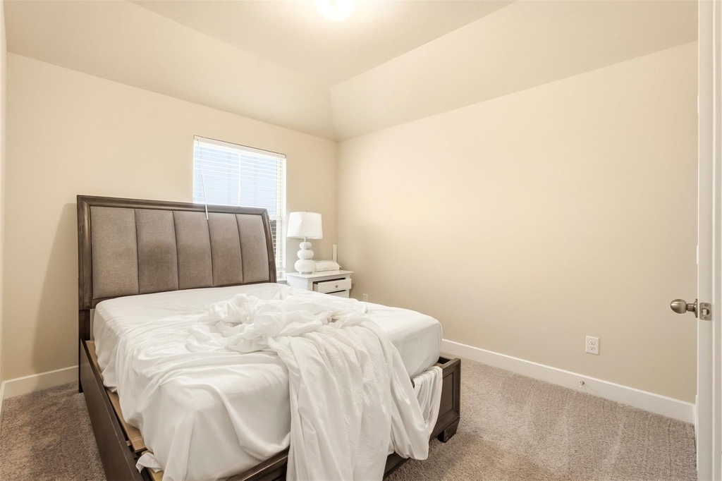 26031 Horizon Star Lane - Photo 12