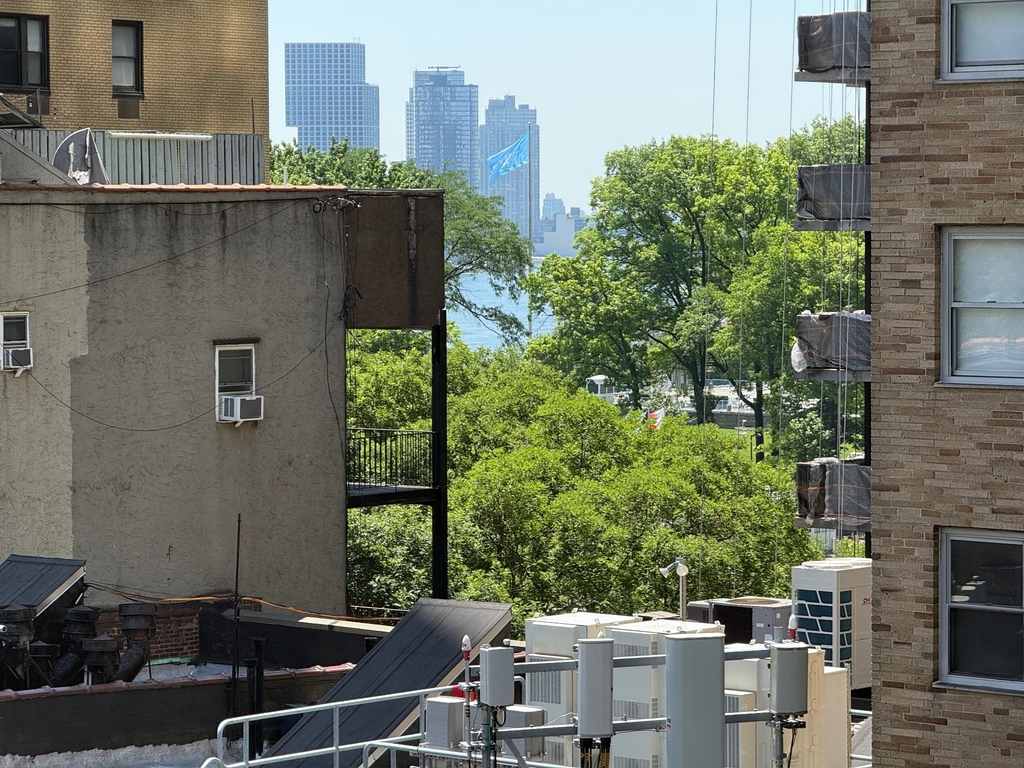 333 East 49th Street - Photo 2