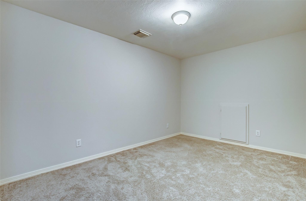 8823 Flowering Ash Crossing - Photo 22