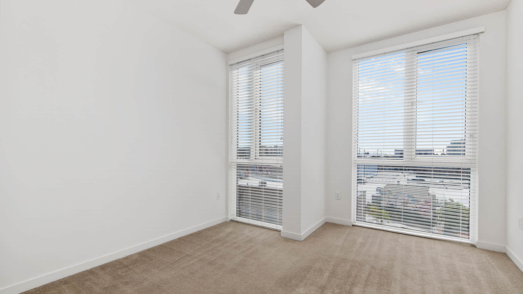 1333 Powell Street - Photo 17