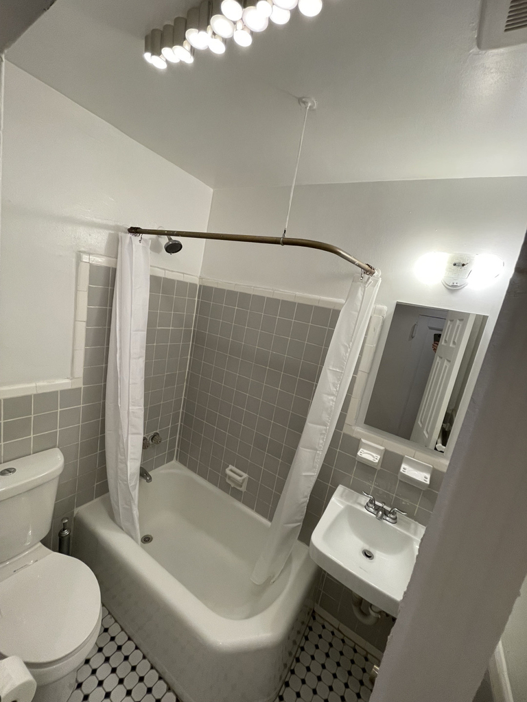 448 East 87th Street - Photo 6