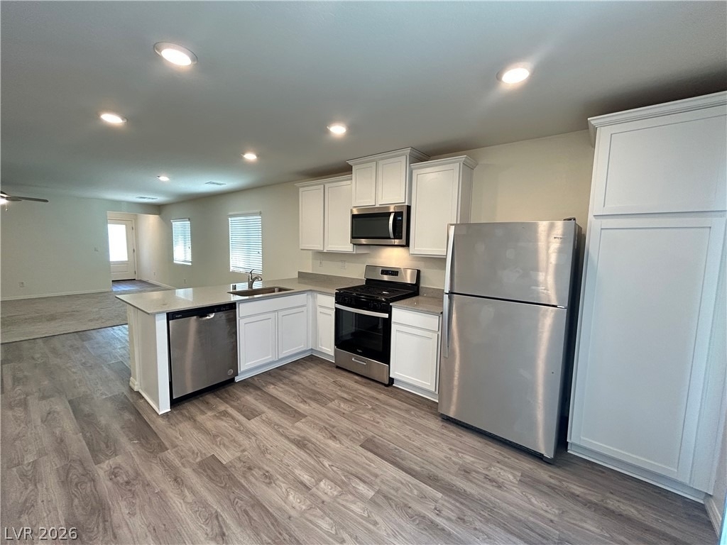 6797 Warthog Avenue - Photo 6