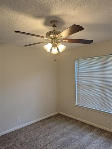 4800 Dunlap Drive - Photo 12