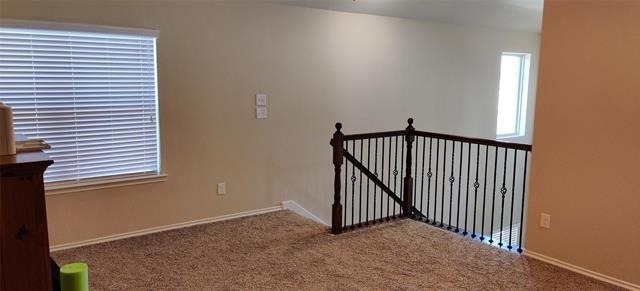 9821 Prairie Dog Lane - Photo 21