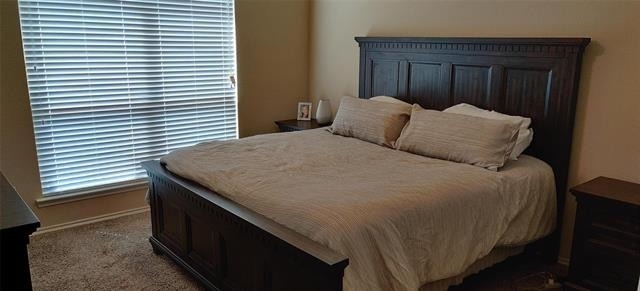 9821 Prairie Dog Lane - Photo 9