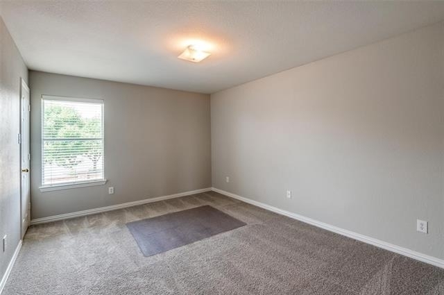 323 Del Cano Drive - Photo 19
