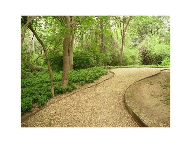 4859 Cedar Springs Road - Photo 11